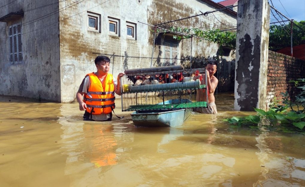 Thoi tiet 30/7: Mua lon trut xuong Bac Bo hinh anh