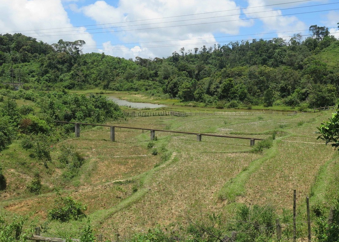 Chieu 29/7, tinh Kon Tum lai hung them 7 tran dong dat hinh anh