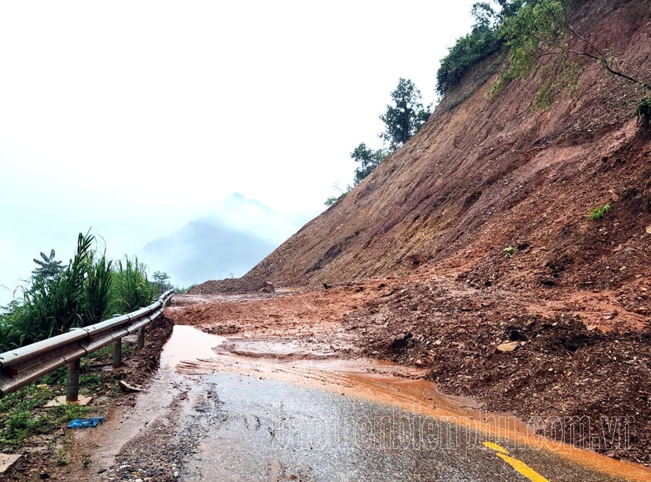 co nguoi tu vong anh 2