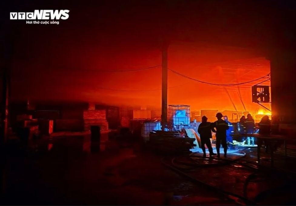 Chay Binh Dinh anh 1