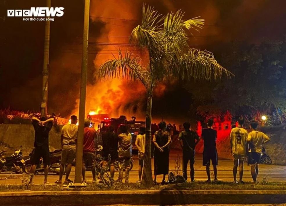 Chay Binh Dinh anh 2