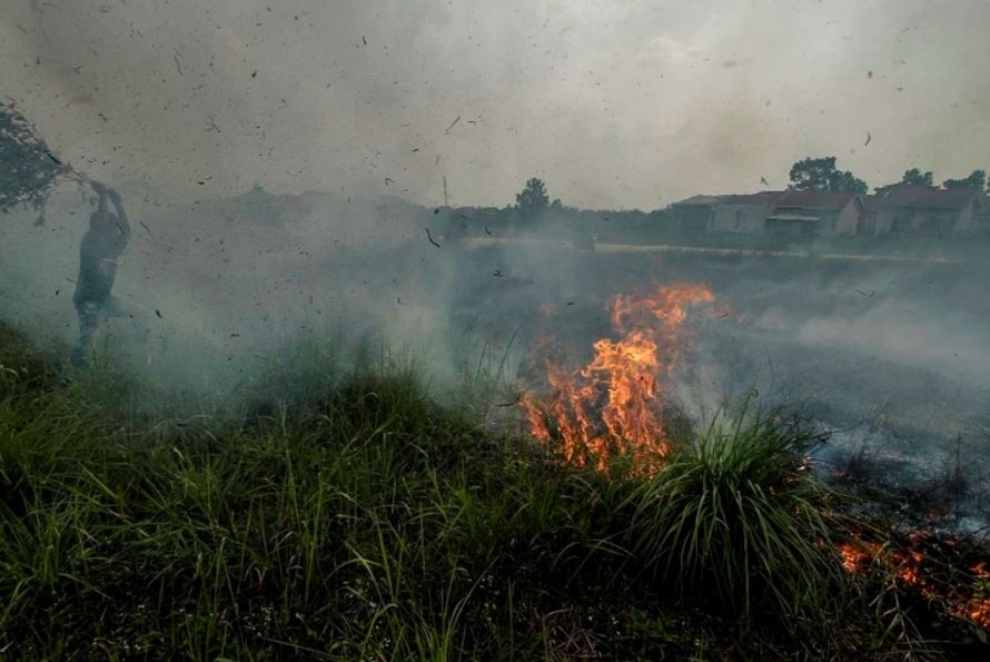 Nguy co chay rung cao tai Indonesia hinh anh