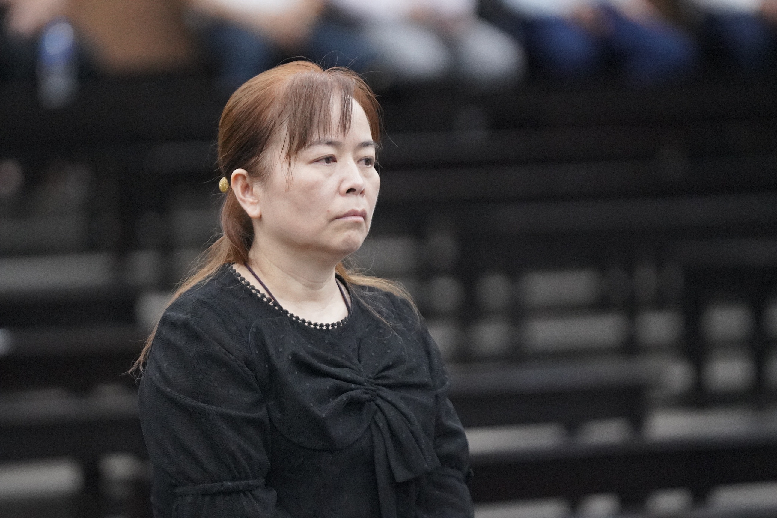 Hoan phien toa xet xu cuu Chu tich Tap doan Vimedimex hinh anh