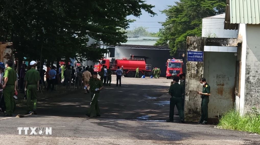 Lo hoi Binh Phuoc anh 1