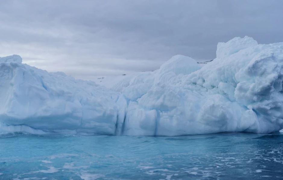 Song nhiet ky luc o Nam Cuc de doa tuong lai Trai Dat hinh anh