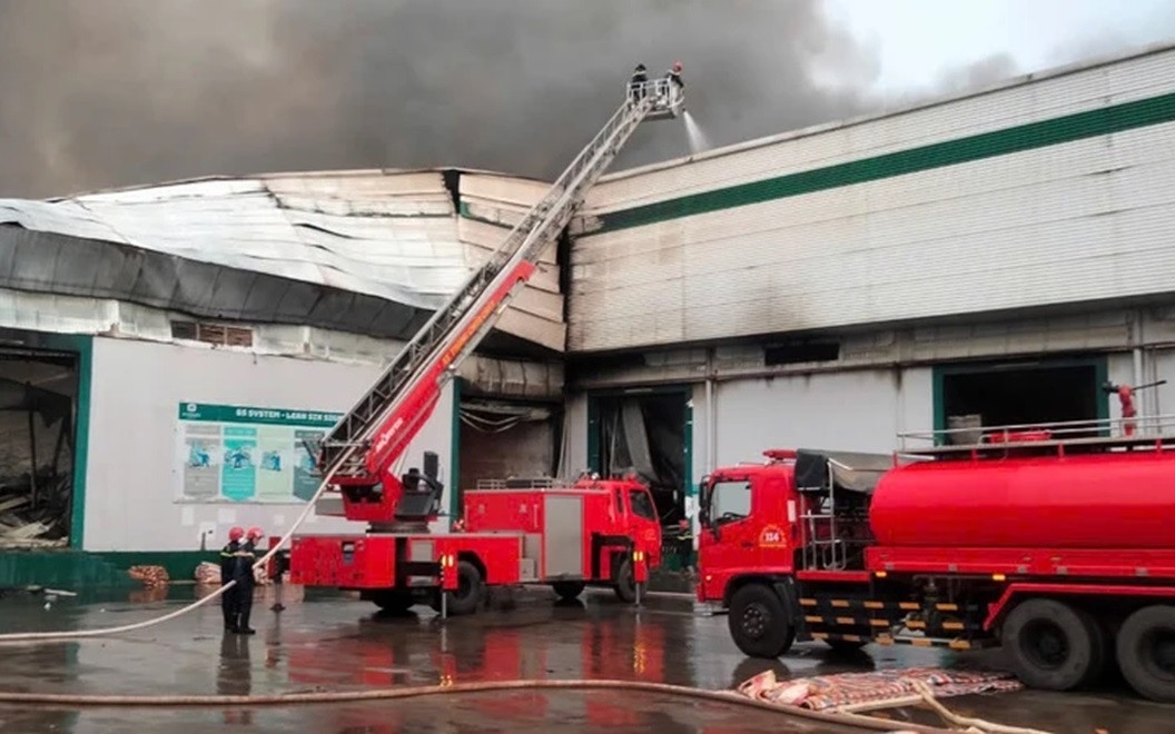 Chay lon xuong hat dieu o Binh Phuoc hinh anh