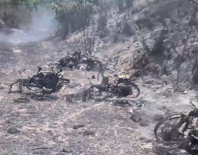 Chay rung Quang Binh anh 2