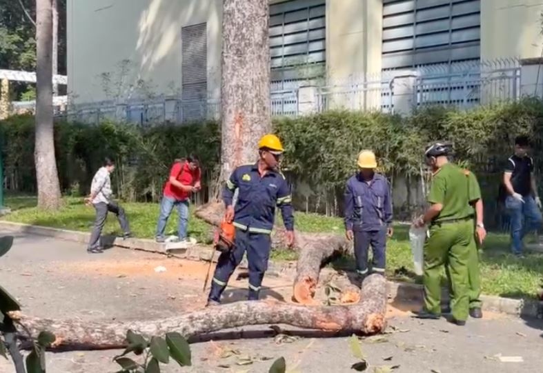 Nhan chung ke lai khoanh khac tai nan chet nguoi o cong vien Tao Dan hinh anh