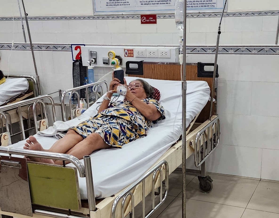 Cay roi Tao Dan TP.HCM anh 1