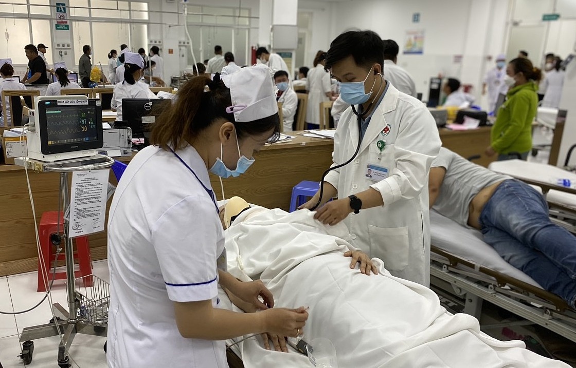 Cay roi Tao Dan TP.HCM anh 2