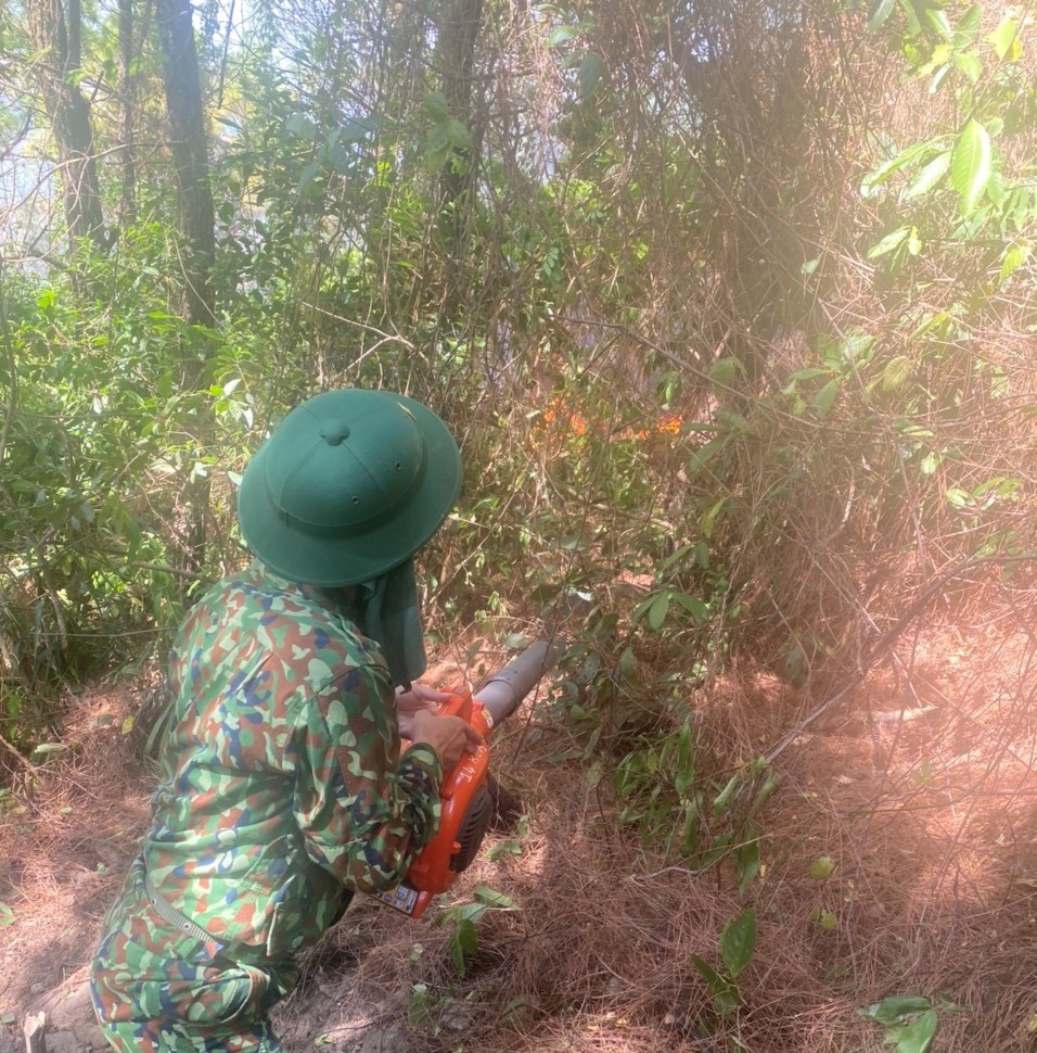 Chay rung Quang Binh anh 4