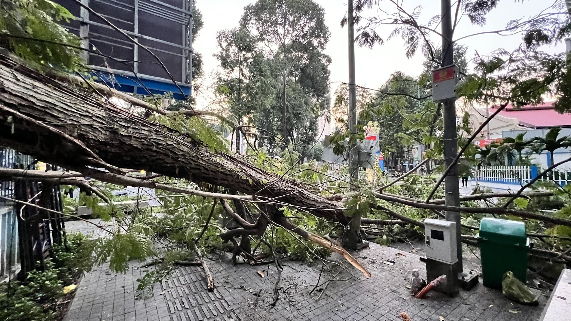 Ho Con Rua TP.HCM anh 1