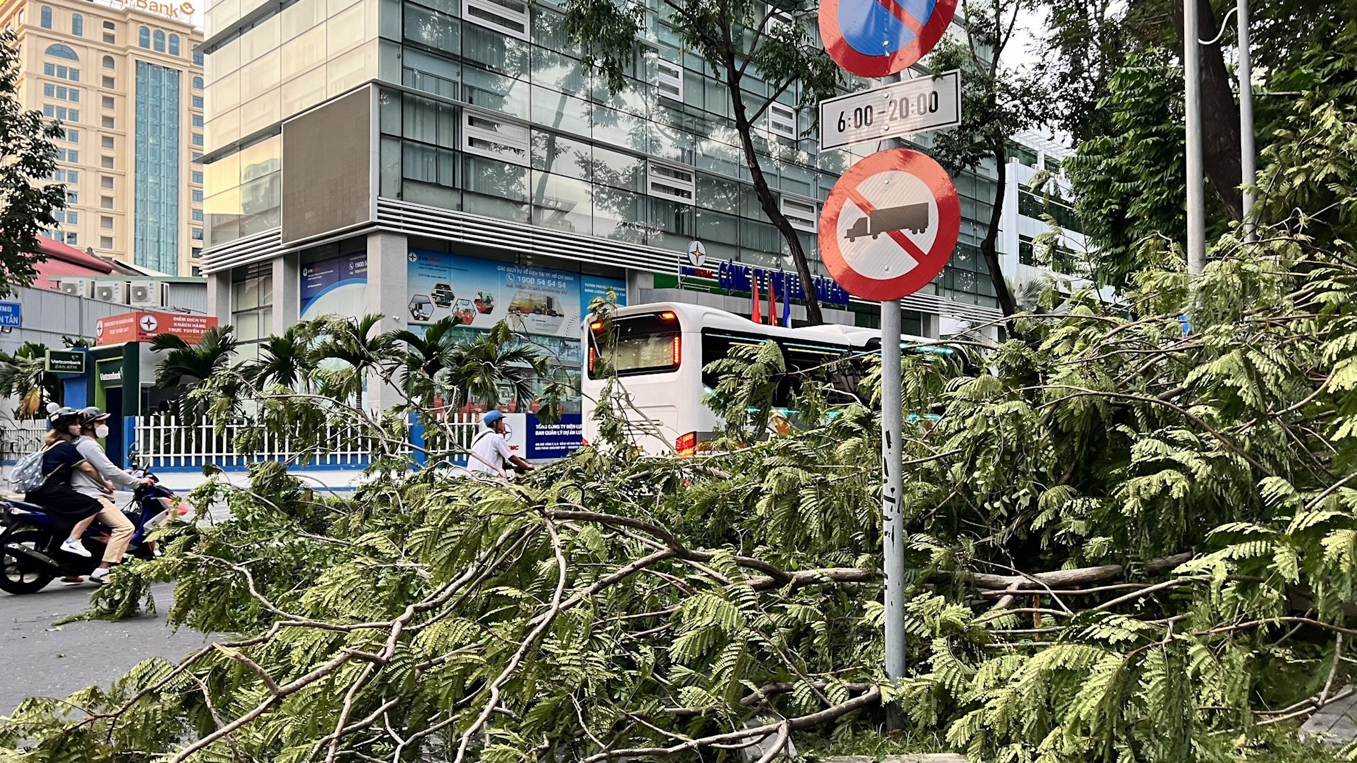 Ho Con Rua TP.HCM anh 3