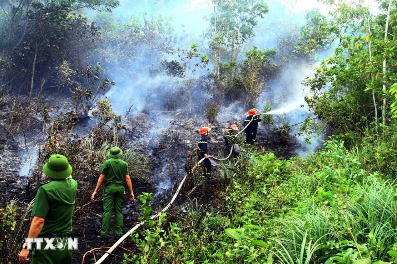 Chay rung Quang Binh anh 1