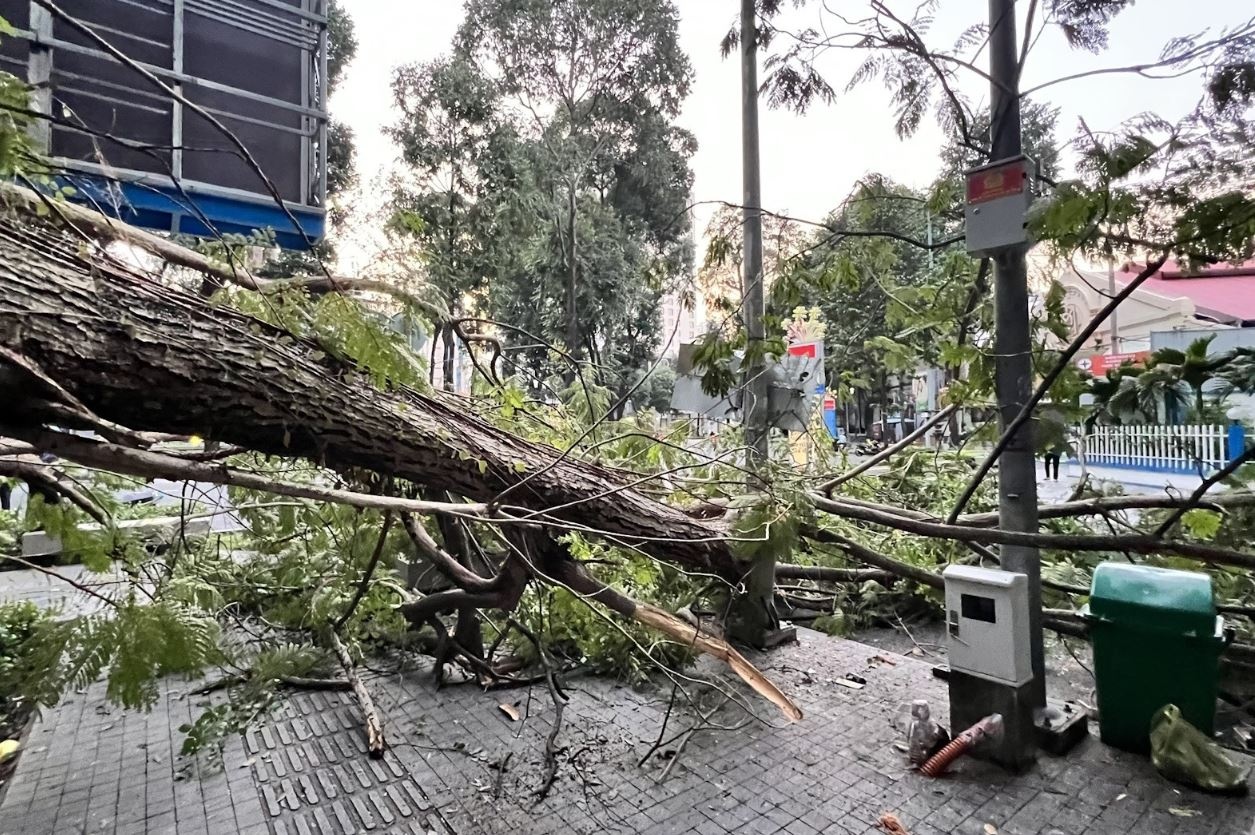 Cay gay nhanh chan ngang duong ven Ho Con Rua o TP.HCM hinh anh