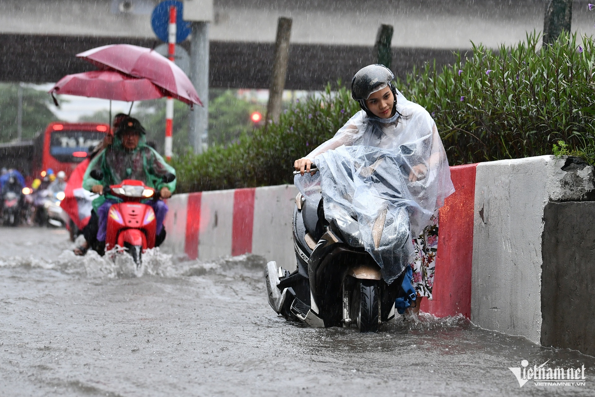 thoi tiet 15/8 anh 1