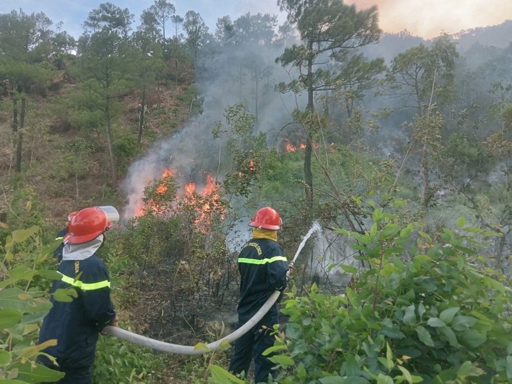 Chay rung o Deo Ngang hinh anh