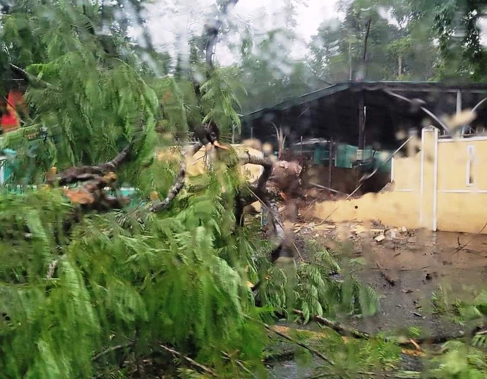 Phuong sap tuong Hue anh 2