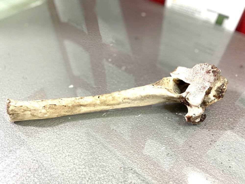 Tran Tan Phong Binh Duong anh 1