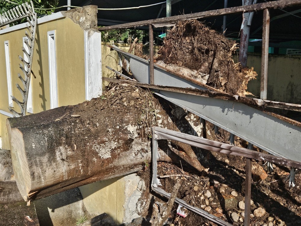 Phuong sap tuong Hue anh 3