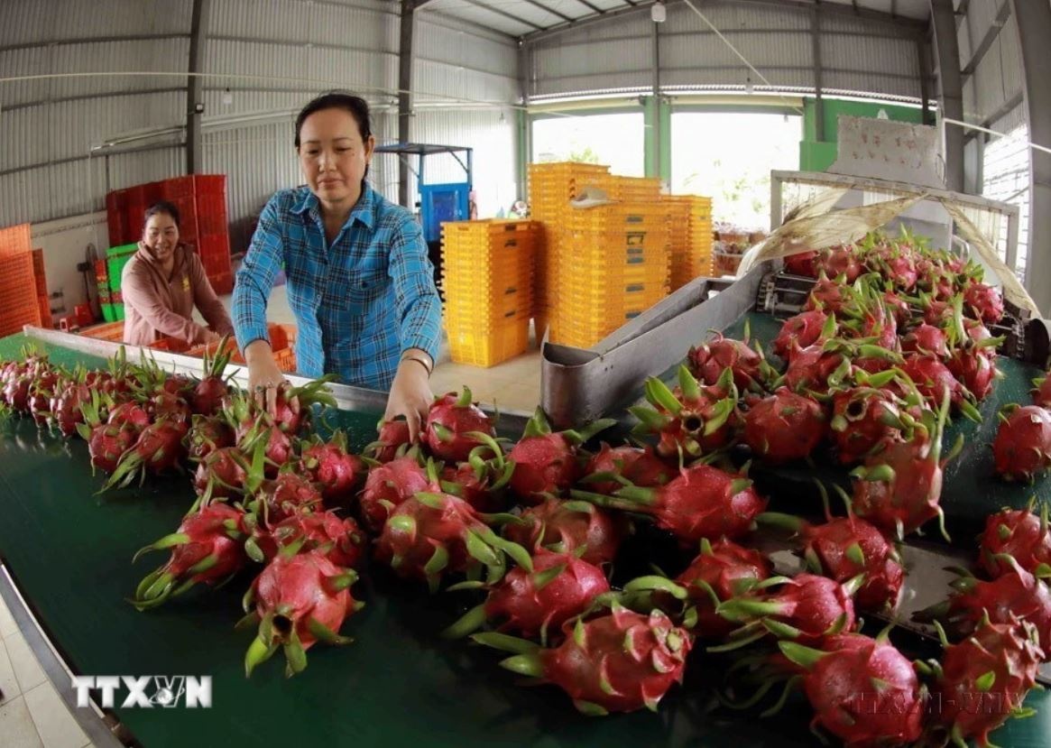 Tong Bi thu To Lam anh 4