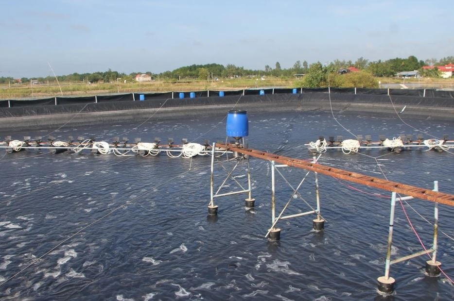 Day manh kiem ke khi nha kinh, ung pho bien doi khi hau hinh anh