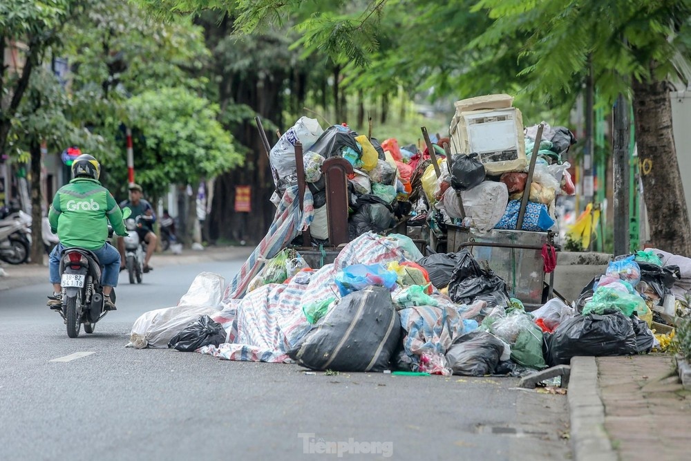 Luat Moi truong anh 2