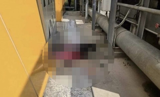 Ha Noi: Co gai bi ban trai sat hai trong luc cai va hinh anh