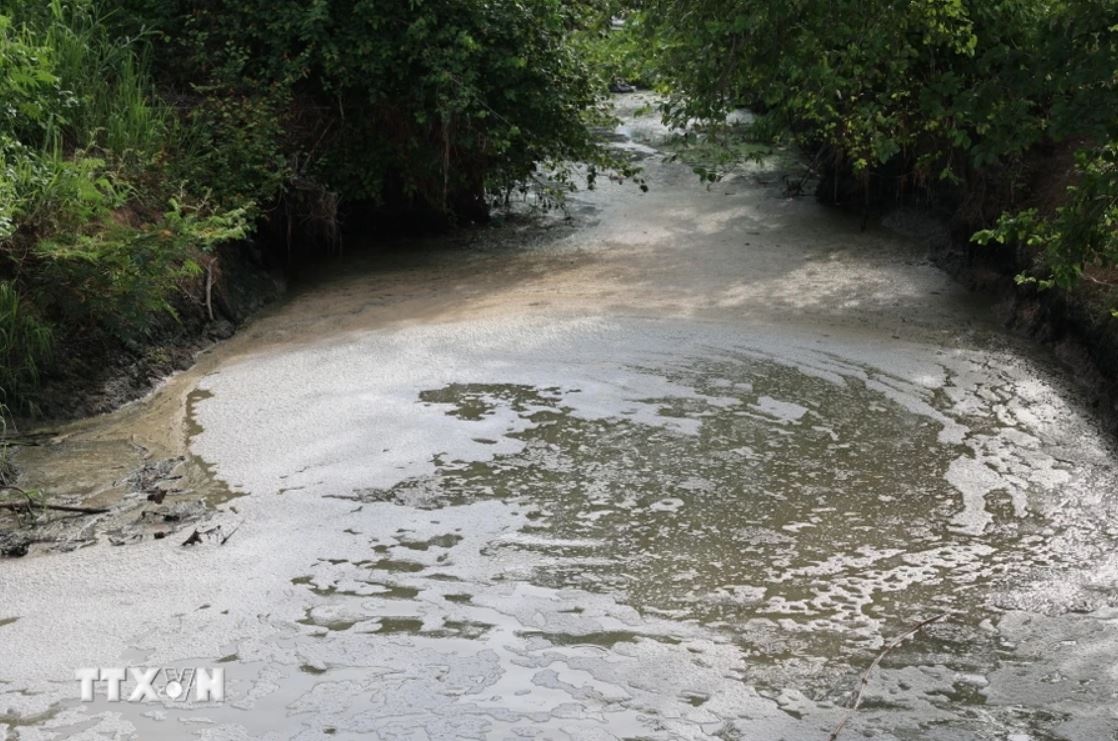 suoi Ba Su Tay Ninh anh 2