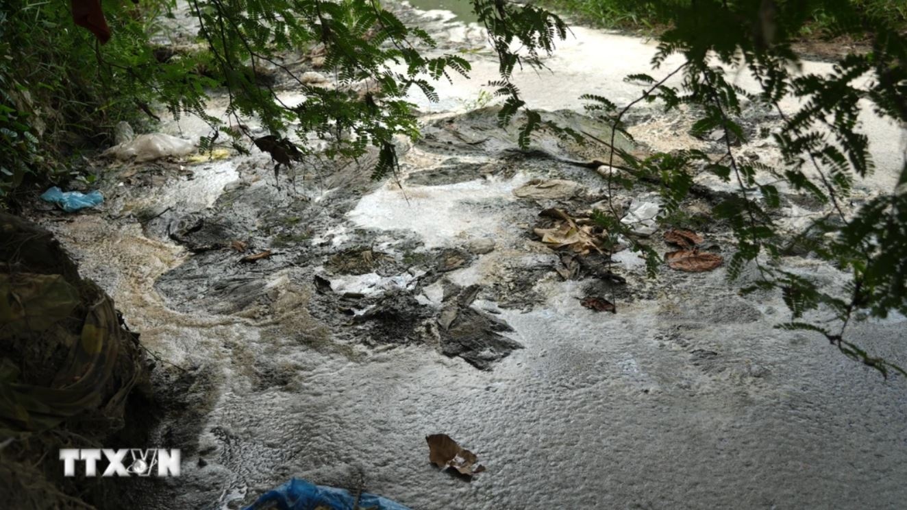 suoi Ba Su Tay Ninh anh 3