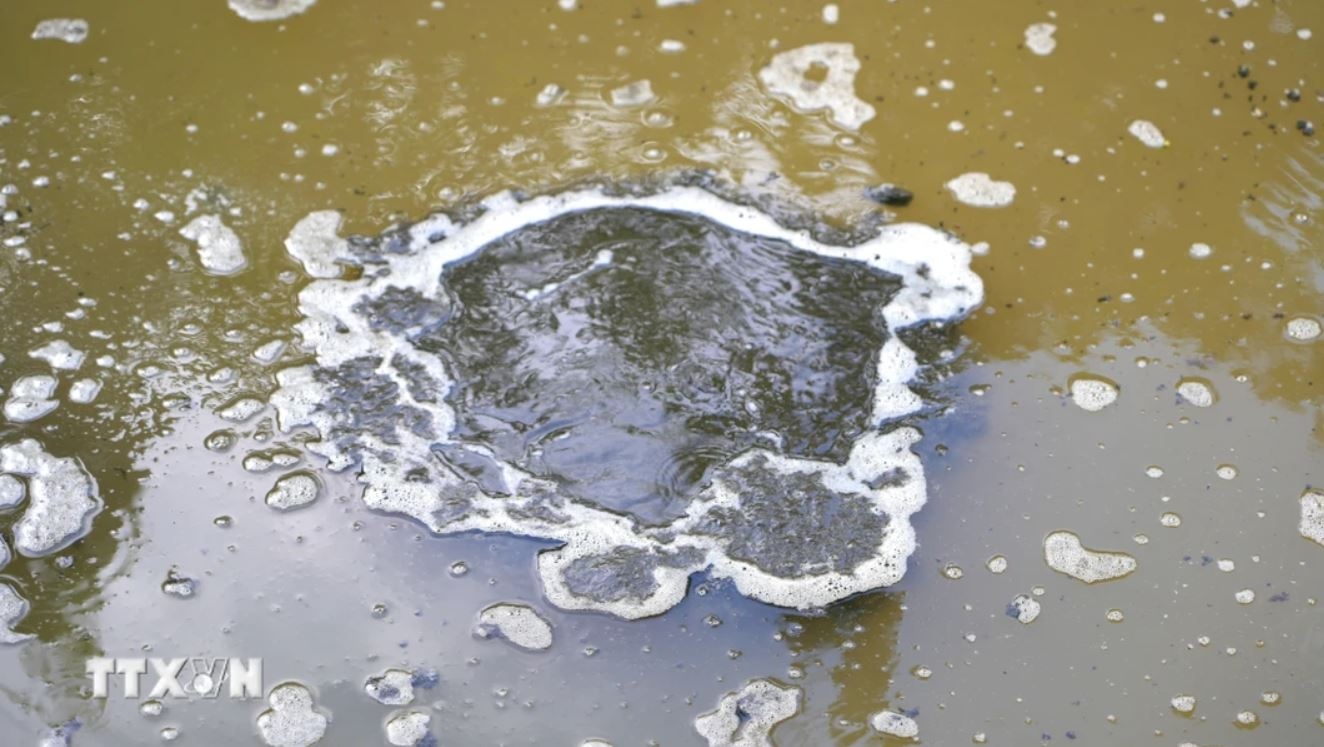 suoi Ba Su Tay Ninh anh 4