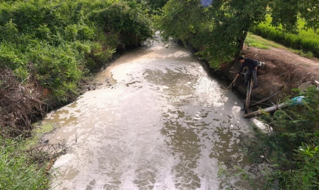 O nhiem moi truong tai suoi Ba Su, Tay Ninh hinh anh
