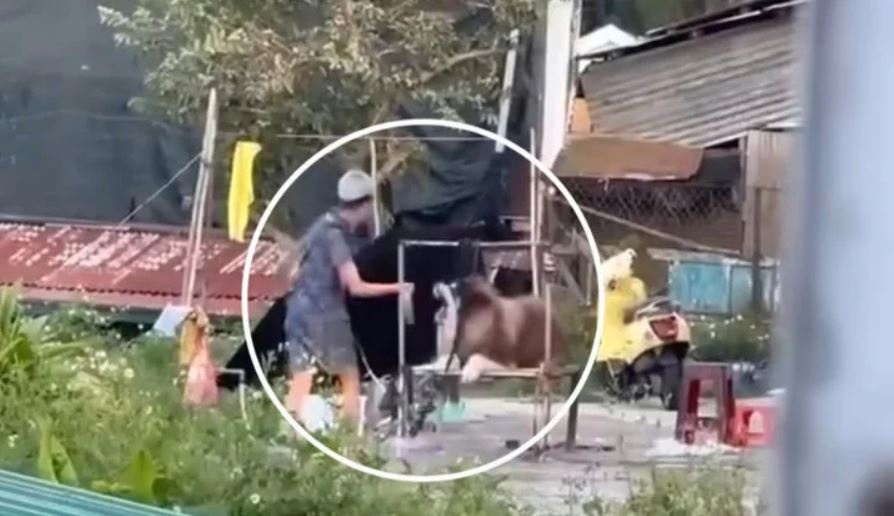 Khong chup hinh cung khach, chu cho o Da Lat bi danh da man hinh anh