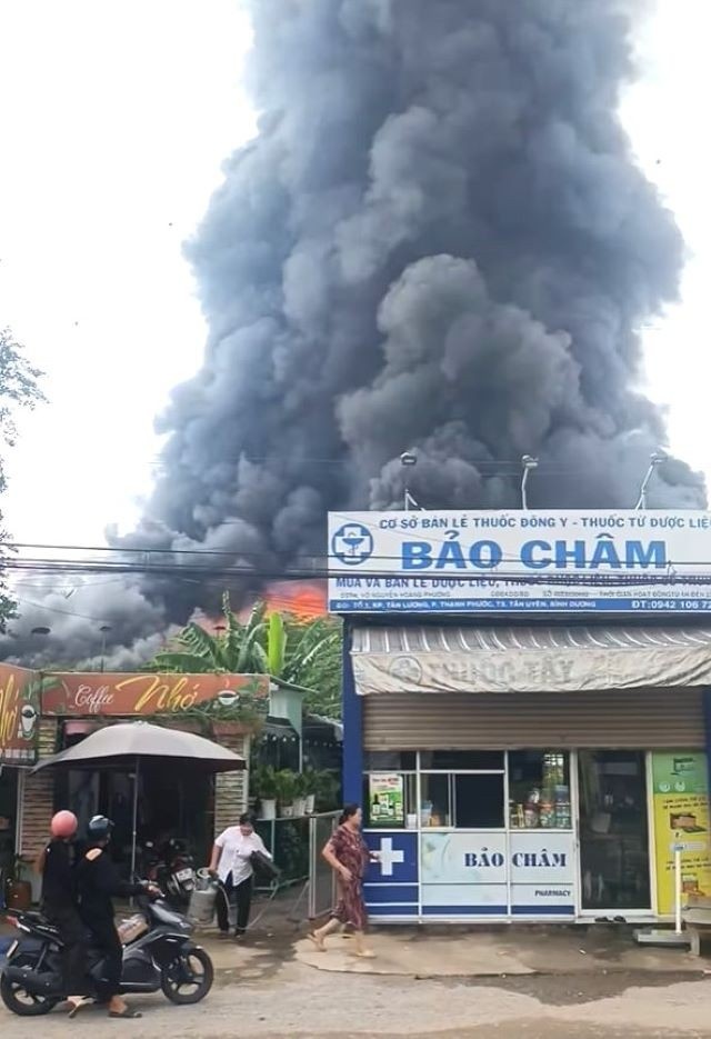 Chay Binh Duong anh 1