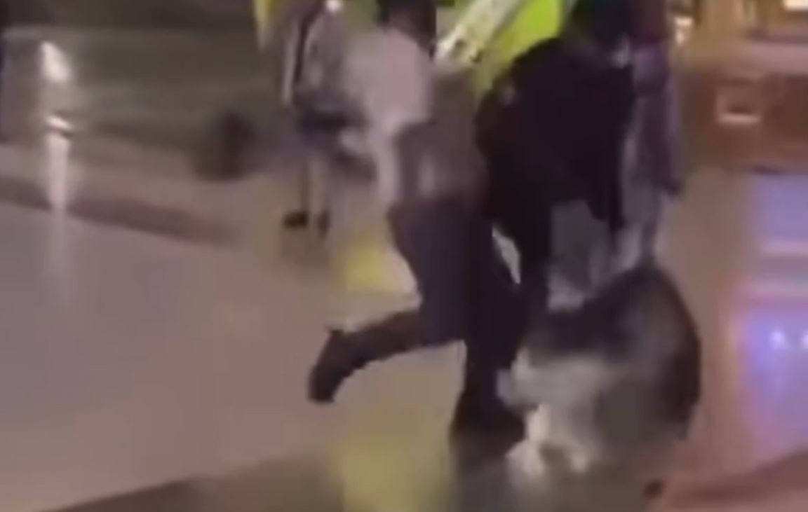 Chu cho noi gi sau khi danh da man ‘thu cung’ tai Da Lat hinh anh