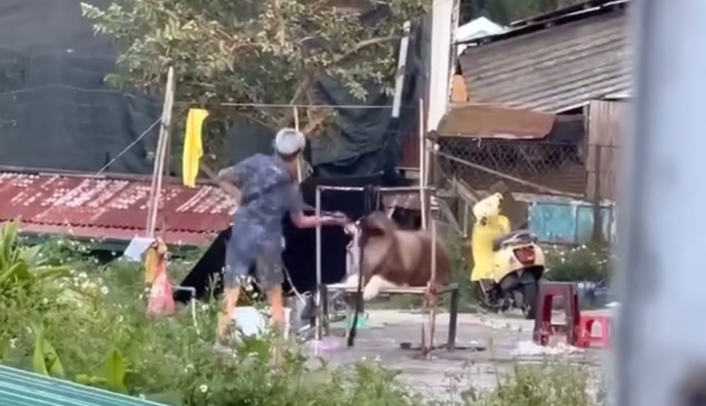 Cho bi danh Da Lat anh 2