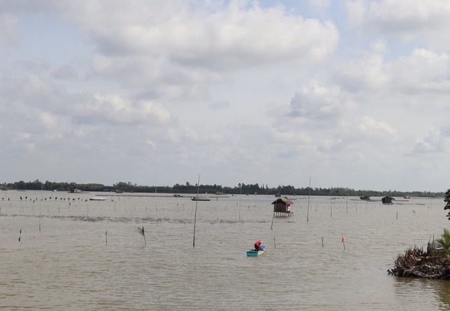 De nghi kiem diem nguyen Chu tich UBND huyen o Ca Mau hinh anh