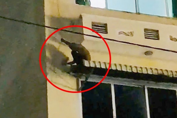 Ke trom xe may,  Treo cua khach san,  Tron cong an anh 1