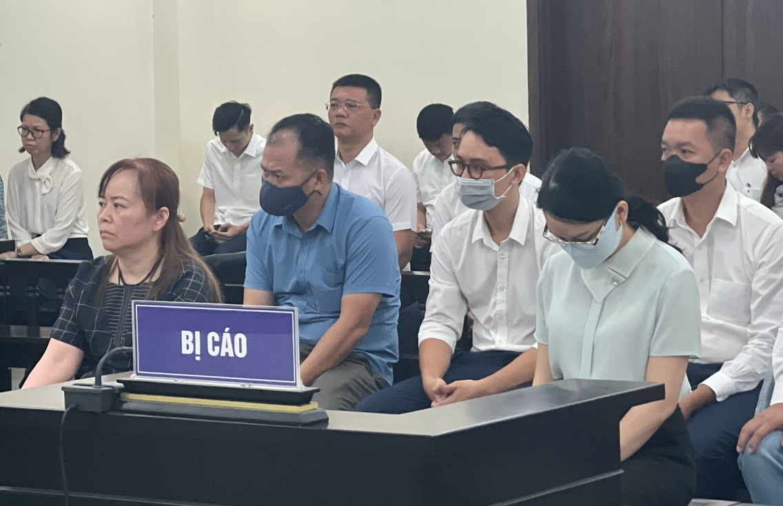 Mo lai phien xet xu cuu Chu tich Tap doan Vimedimex hinh anh