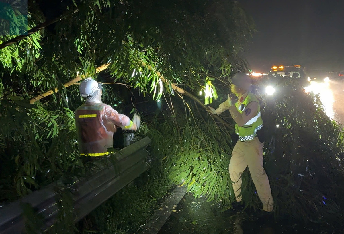 CSGT Trung Luong My Thuan anh 3