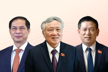 Cac ong Nguyen Hoa Binh, Ho Duc Phoc, Bui Thanh Son lam Pho Thu tuong hinh anh