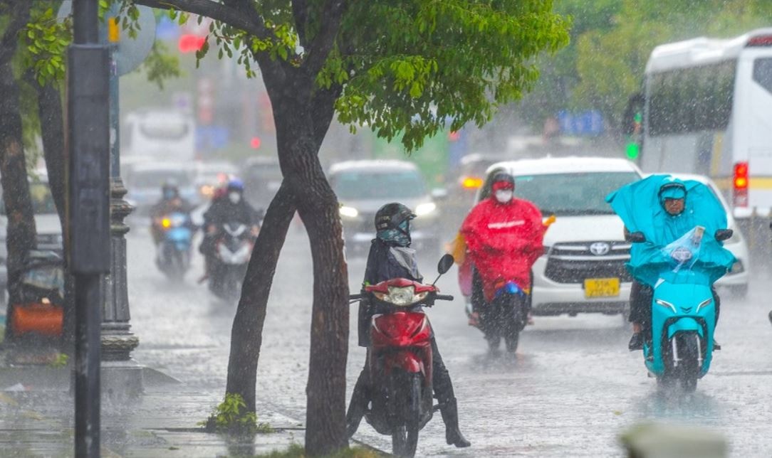 TP.HCM mua dong gia tang trong tuan moi hinh anh