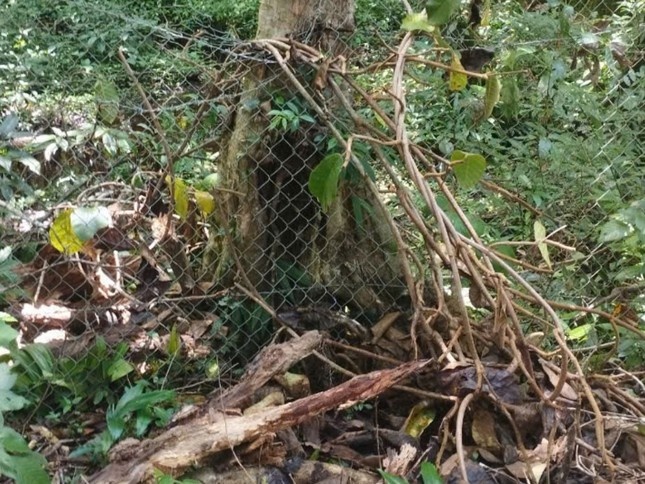 Sam Ngoc Linh,  Bi danh cap anh 2