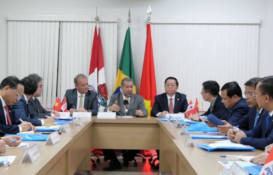 Thuc day quan he Viet Nam - Brazil phat trien len tam cao moi hinh anh