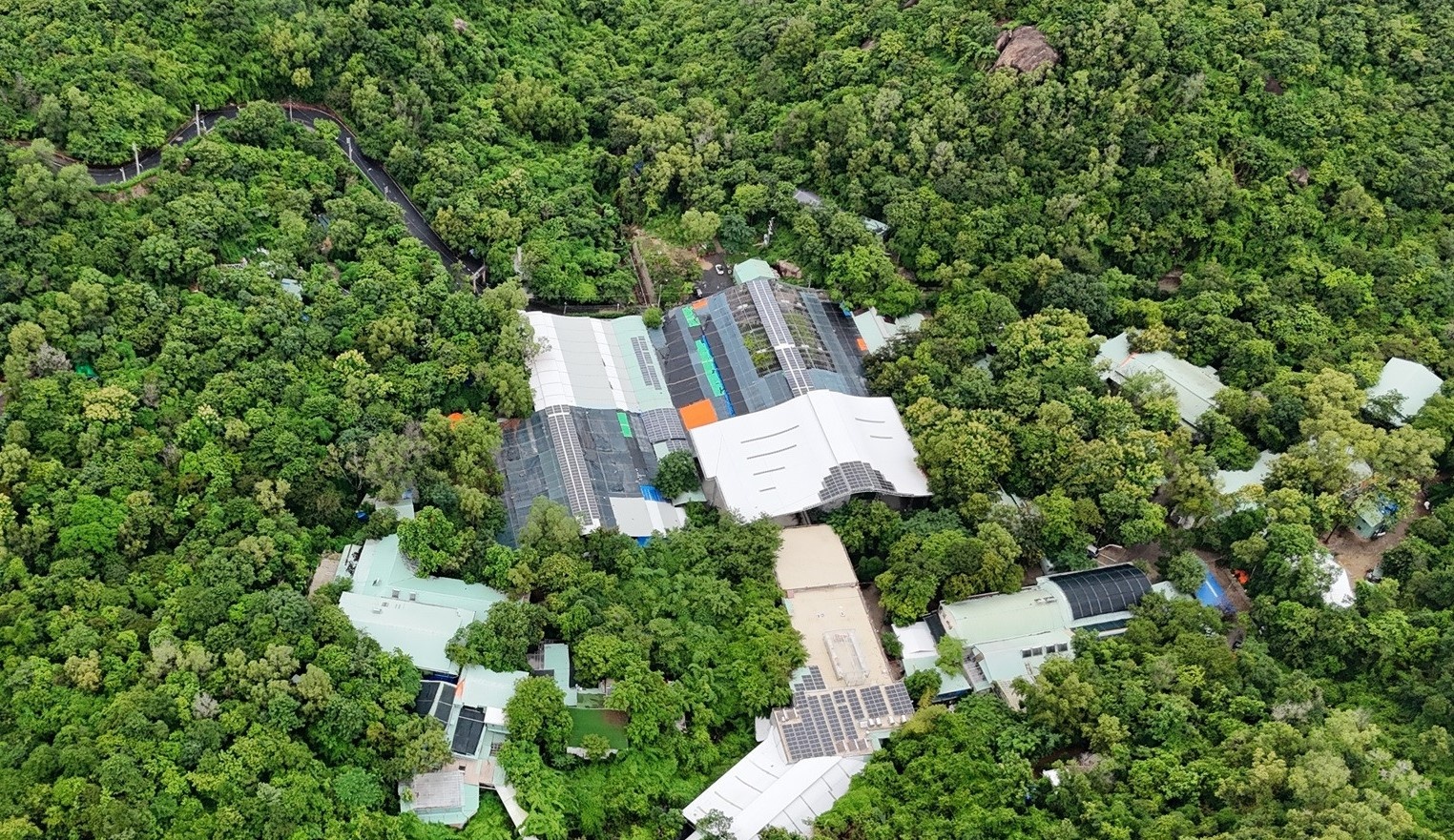 Se cuong che cong trinh khong phep tai chua cua ong Thich Chan Quang hinh anh