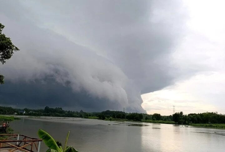 May la Binh Duong anh 3