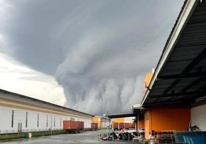 May la Binh Duong anh 5