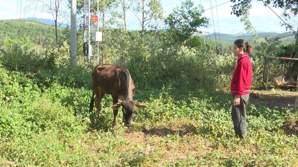 Ky luat bo thanh be anh 1