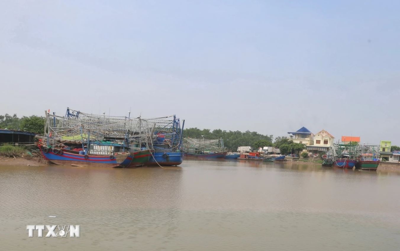 Thu tuong Pham Minh Chinh anh 1