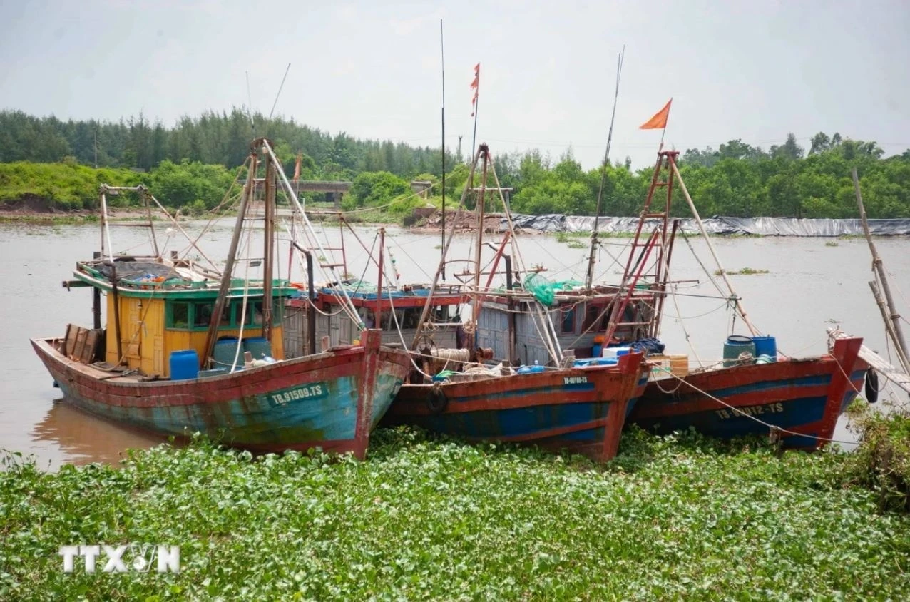 Thu tuong Pham Minh Chinh anh 3